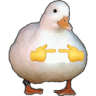 gooseshy