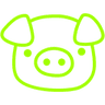 piggyneonlime
