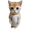 emoji_388