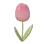 1123805296352034887