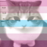 FemboyCatBandeira_FemboySlut
