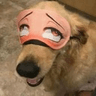 dog_ahegao_FemboySlut