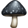 shroom