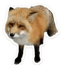 emoji_22