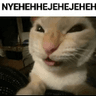 niejejej