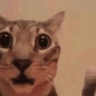 que