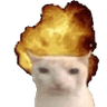 waos