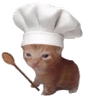 gatochef