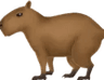 no_capy