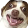 547234500627791882
