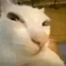 1334360378796281948