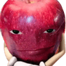 measf