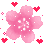 PinkCherryBlossom