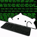 bongocode