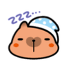capy_zzz