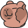 capy_nice