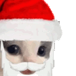 MMEOWDY