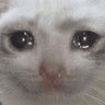 catcry