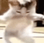 catdances