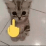 catfuckyou