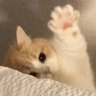 catwave