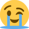 cry_wink