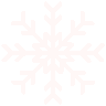 tsnowflake
