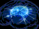 bigbrain