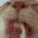 catLick
