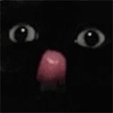 BLELELELE