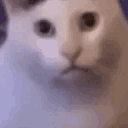 Huh2