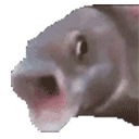 OOOOOOO