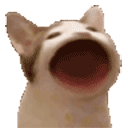 popCat