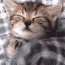 Sleepo