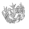 WhiteCrown