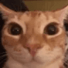 a_