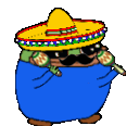 1Maracasgers