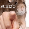 schizo
