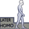 laterhomo