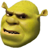 shrek_concerned