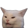 confusedcat