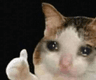 imokay