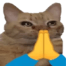 catprayge