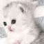 emoji_362
