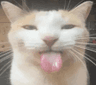 Bleh