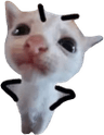 uwotm8