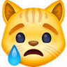 79652sadcat