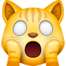 shockcat