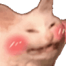 catBlushy
