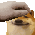 SA_DoggyHappyPet